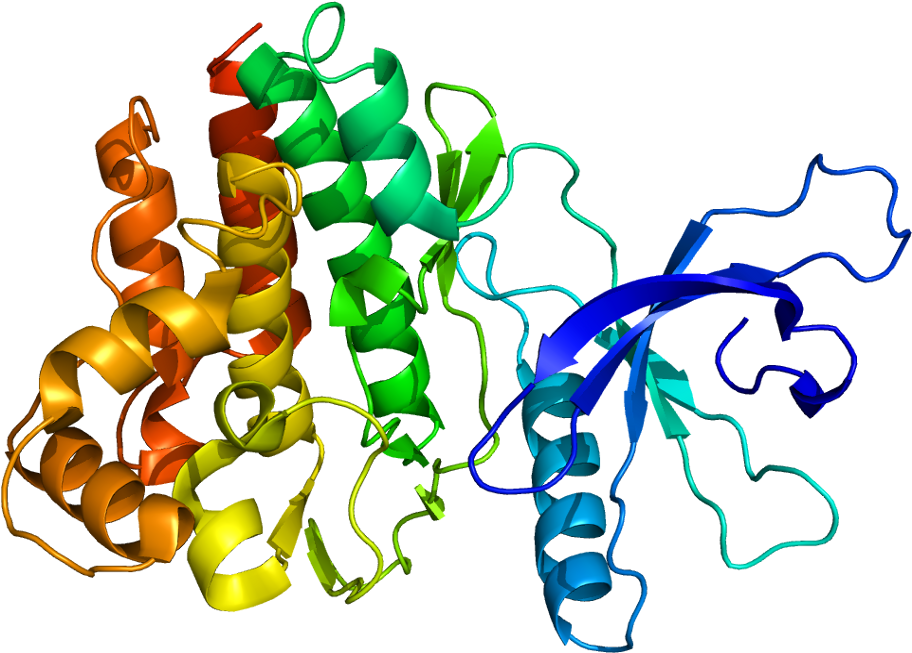 Il 3 Protein Structure (961x702)
