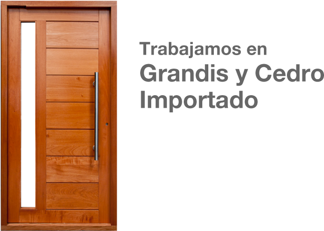 Puertas De Madera Maciza - Wooden Door Designs For Rooms (868x500)