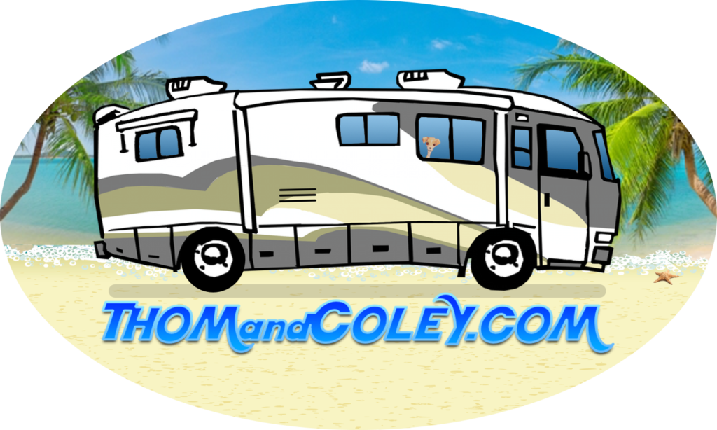 A Sneak Preview Of Our Lone Star Luau Merchandise, - Minibus (1024x614)