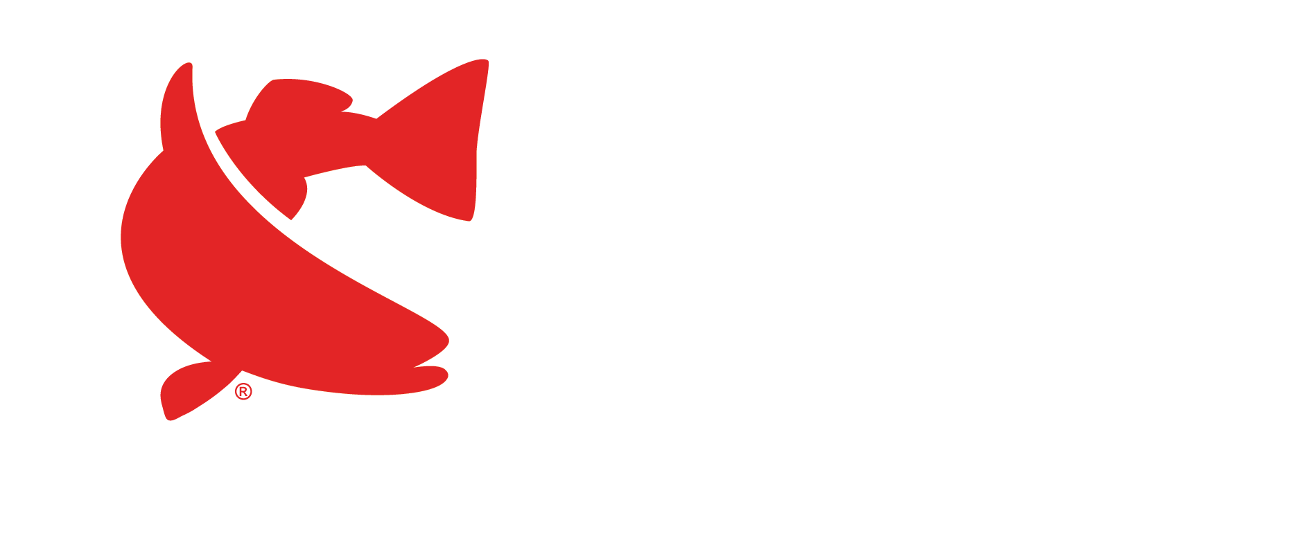Star Tournament - Star Tournament (1861x777)