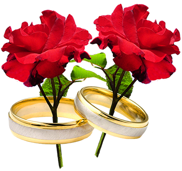 Red Wedding Border Png Wedding Clipart - Wedding Ring Flower Png (384x358)