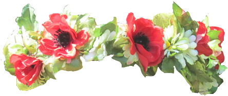 Flower Ctoen - Red And Green Flower Crown Transparent (519x254)