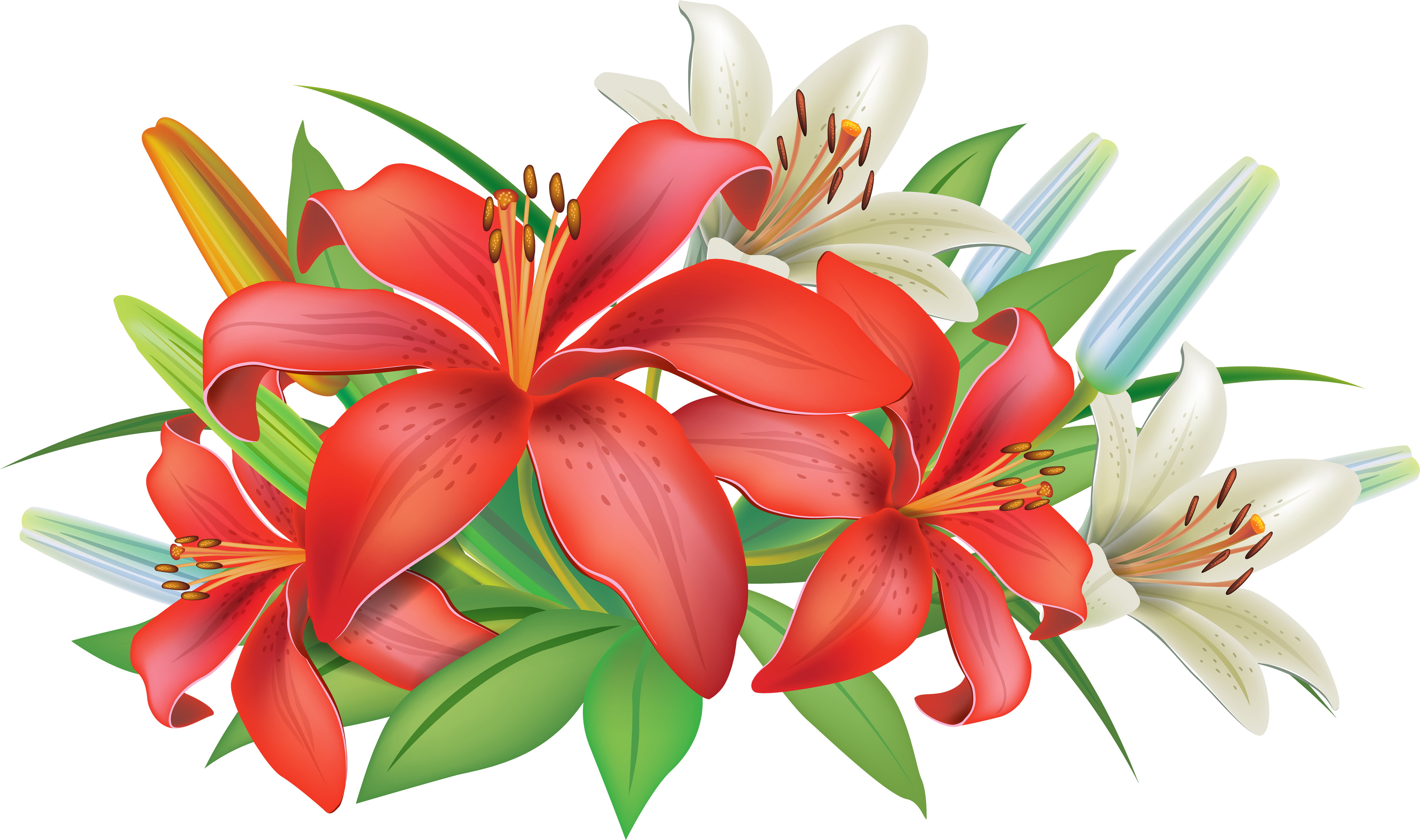 Red Flower Clipart Decorative - Lily Flower Png (5000x2958)