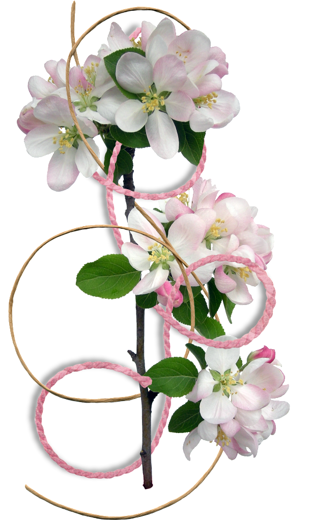 Flower Border Clipart - Flower Border (611x1023)