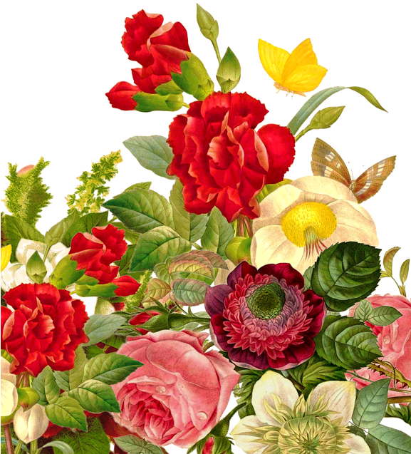 Rose Flower Border - Bunch Of Flowers Transparent (576x720)