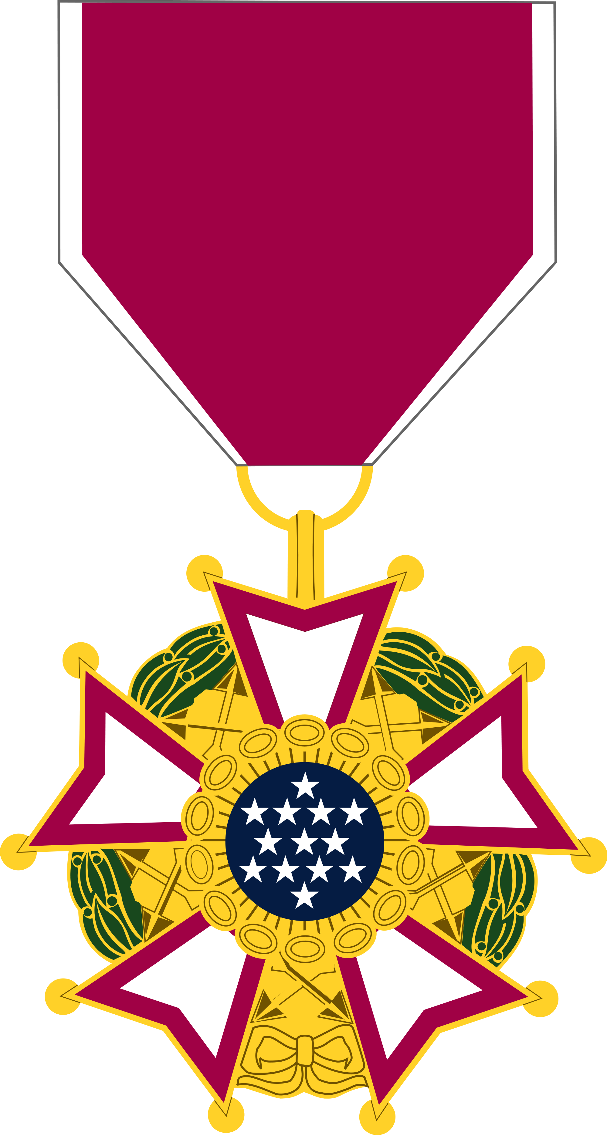 Open - Legion Of Merit Medal (2000x3744)
