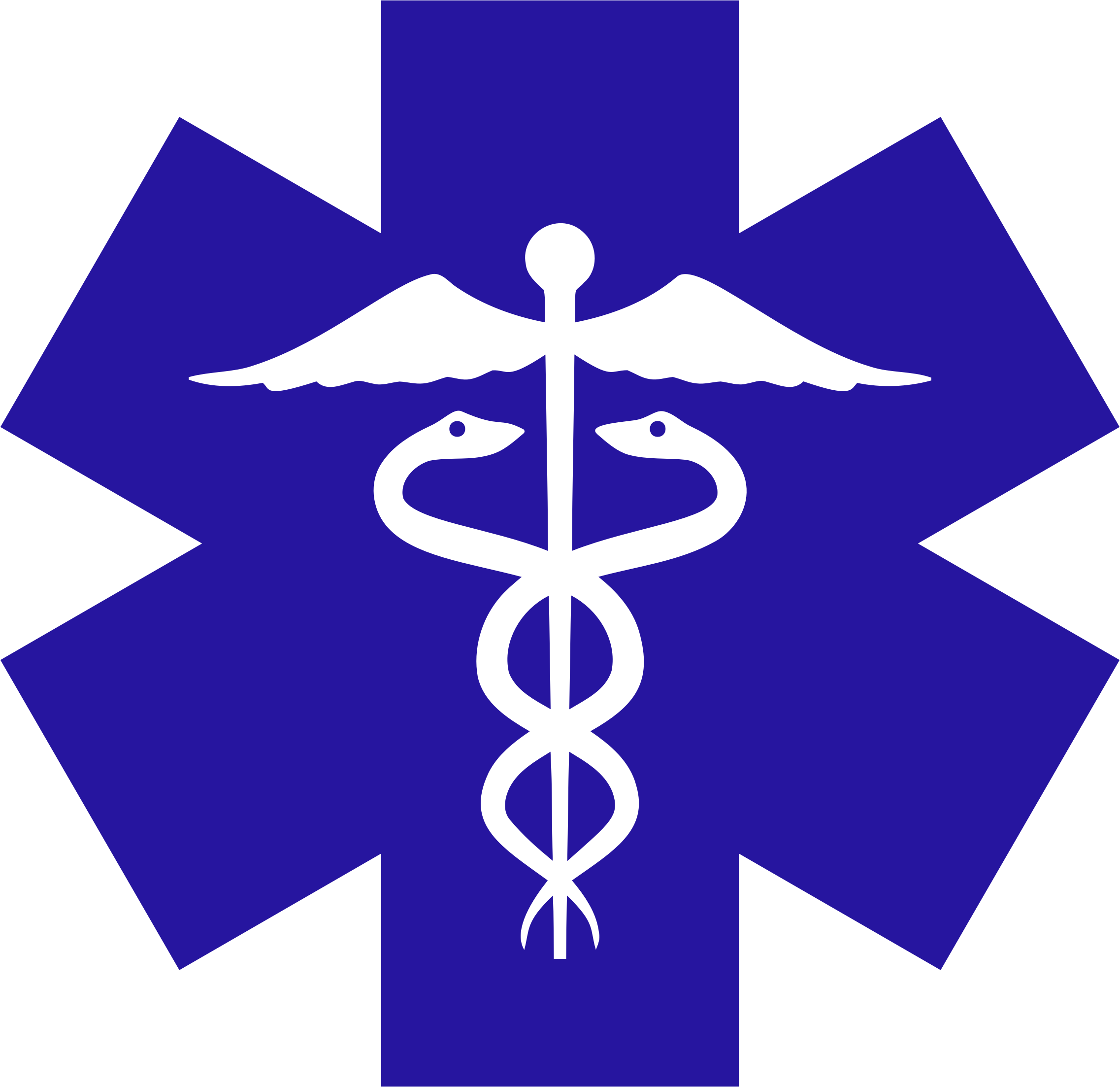 The Star Of Life - Star Of Life Clipart (2274x2206)