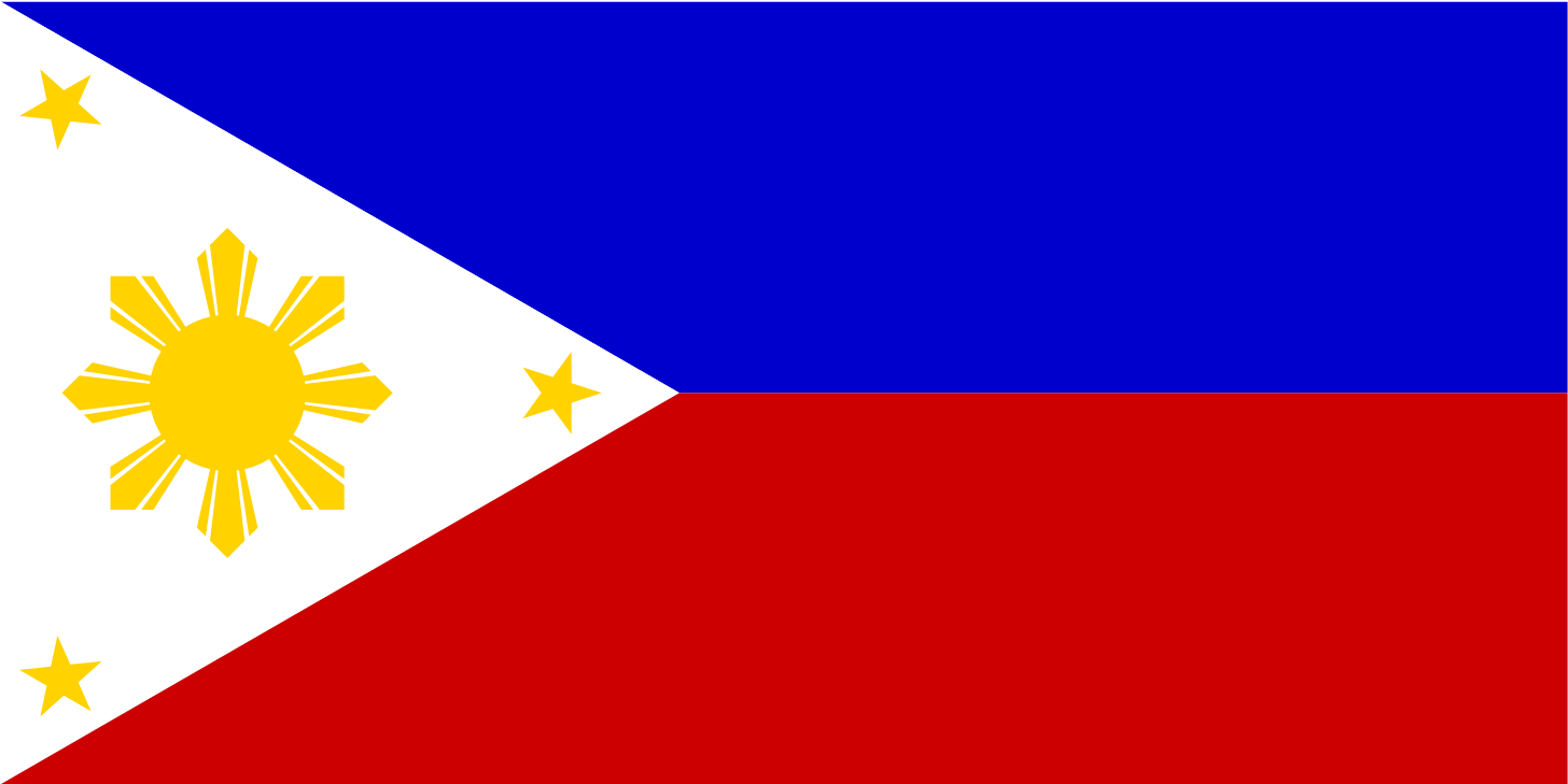 Philippine Flag - Flag Of The Philippines (1697x2400)