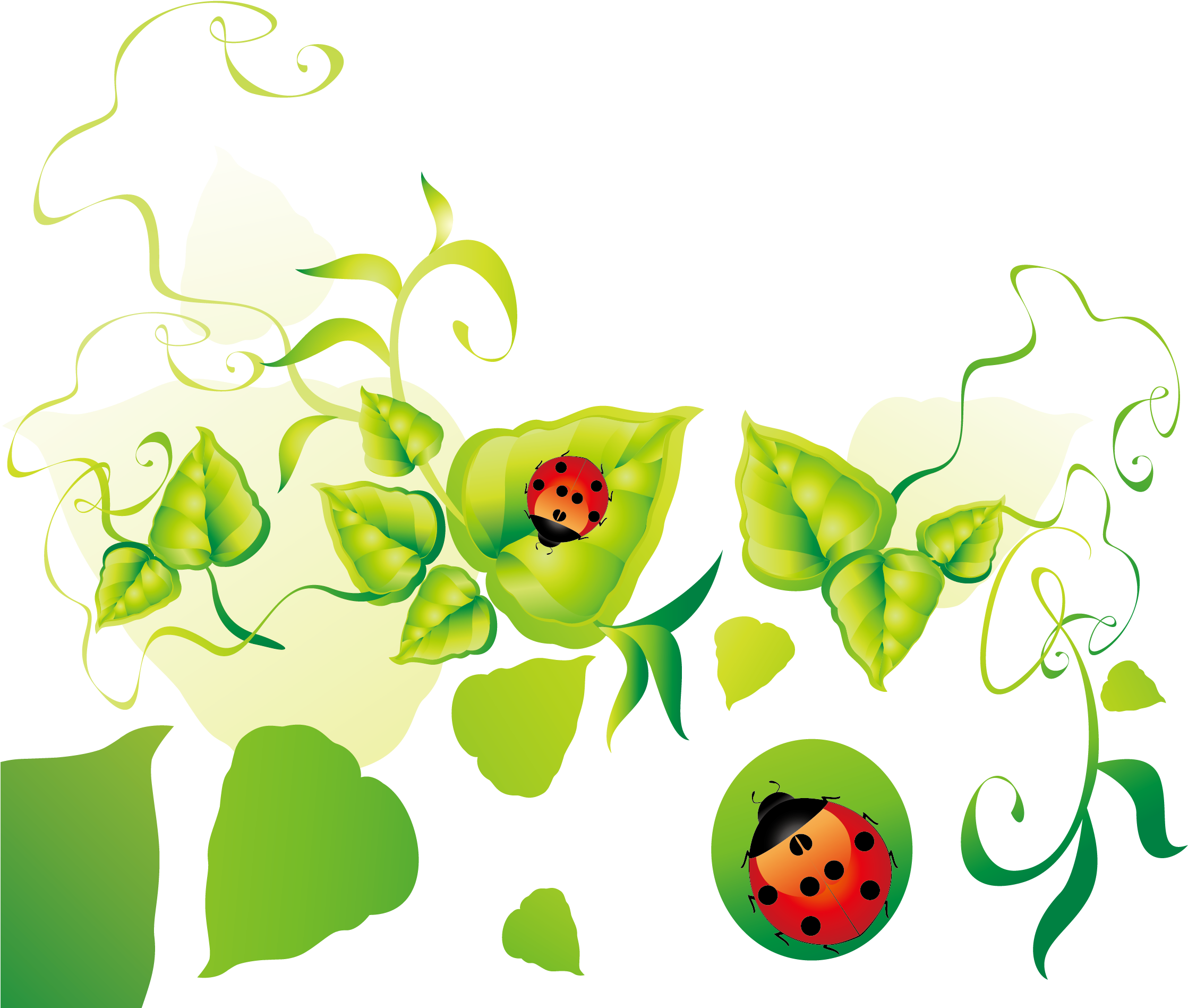 Floral Design Leaf Clip Art - Portable Network Graphics (2362x2362)