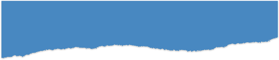 Casa Azul Oasis 2013-18 - Colorfulness (977x223)