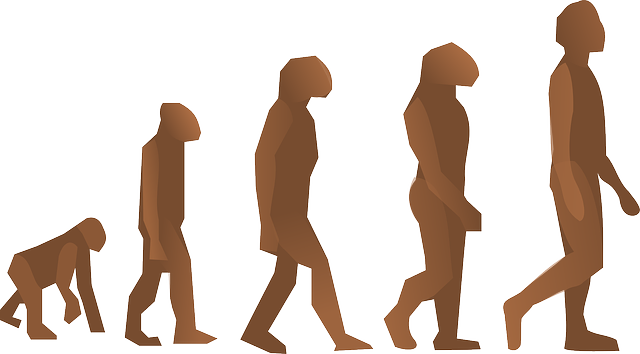 Clipart Info - Does It Mean To Be Human (800x444)
