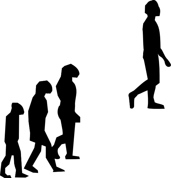 Evolution Clip Art At Clker - Human Evolution (570x595)