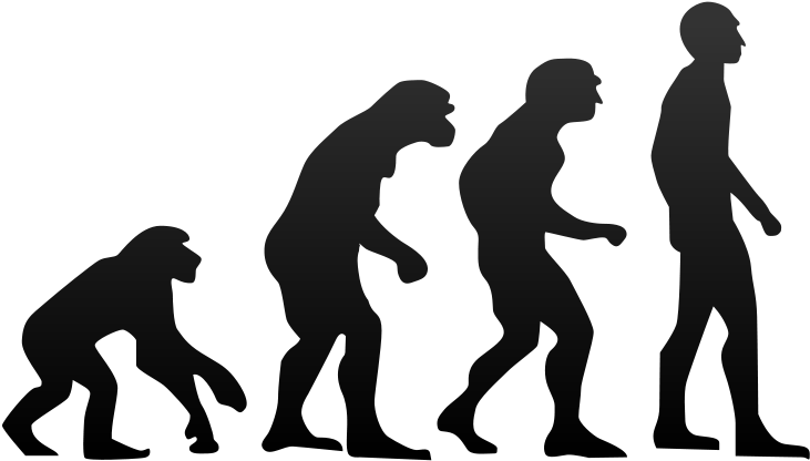 Concern About Evolution As Kansas Helps Set National - Human Evolution Png (800x500)
