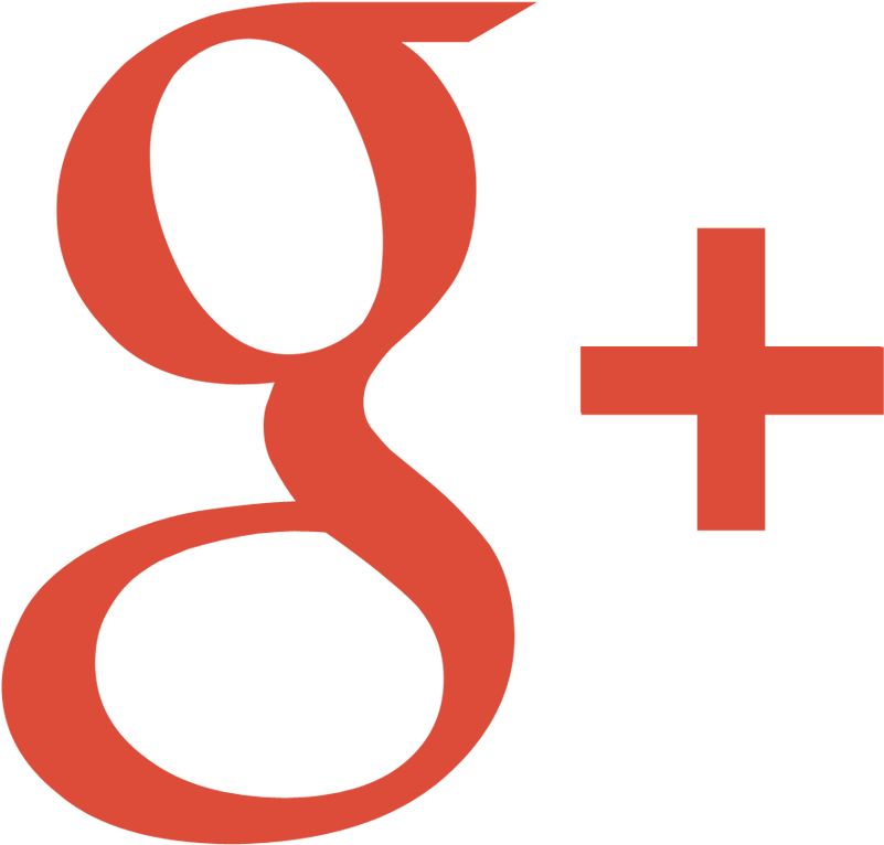 Google-official - Small Google Plus Logo (800x800)