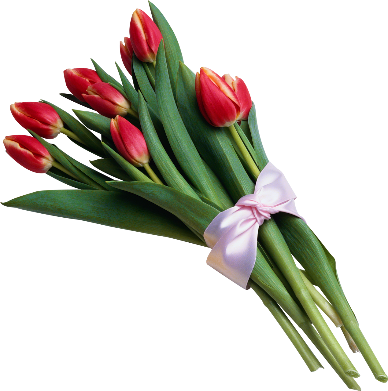 Bouquet Of Red Tulips Transparent Png Pictureu200b - Bouquet Of Flowers Transparent Background (1320x1304)