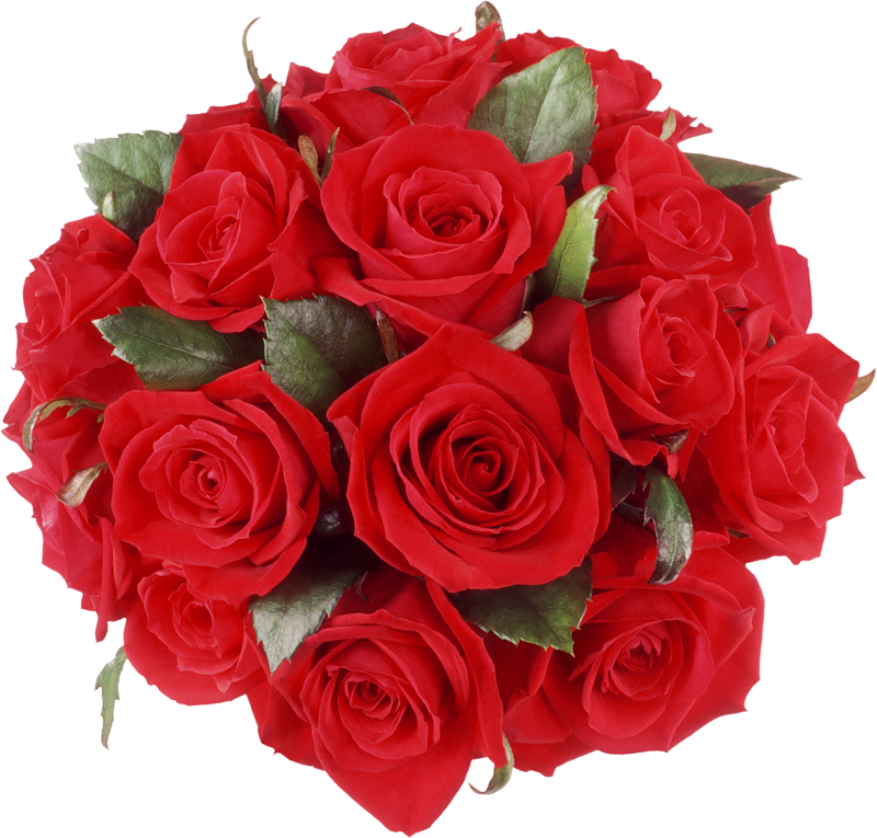 Red Roses Bouquet Png Clipart - Red Roses Bouquet Png (800x765)