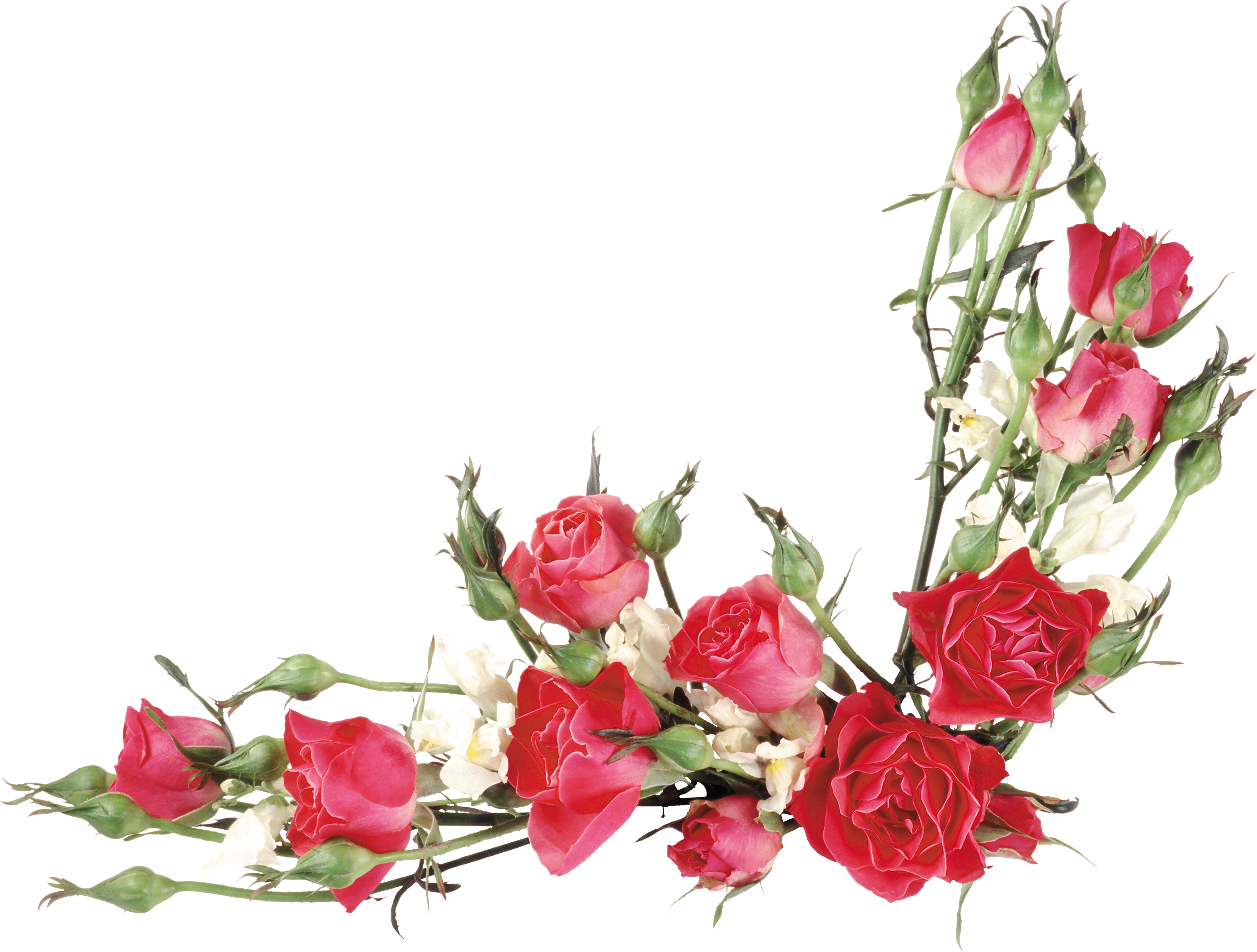 Rose Flower Bouquet Clip Art - Flower Bouquet Vector Png (3000x2274)