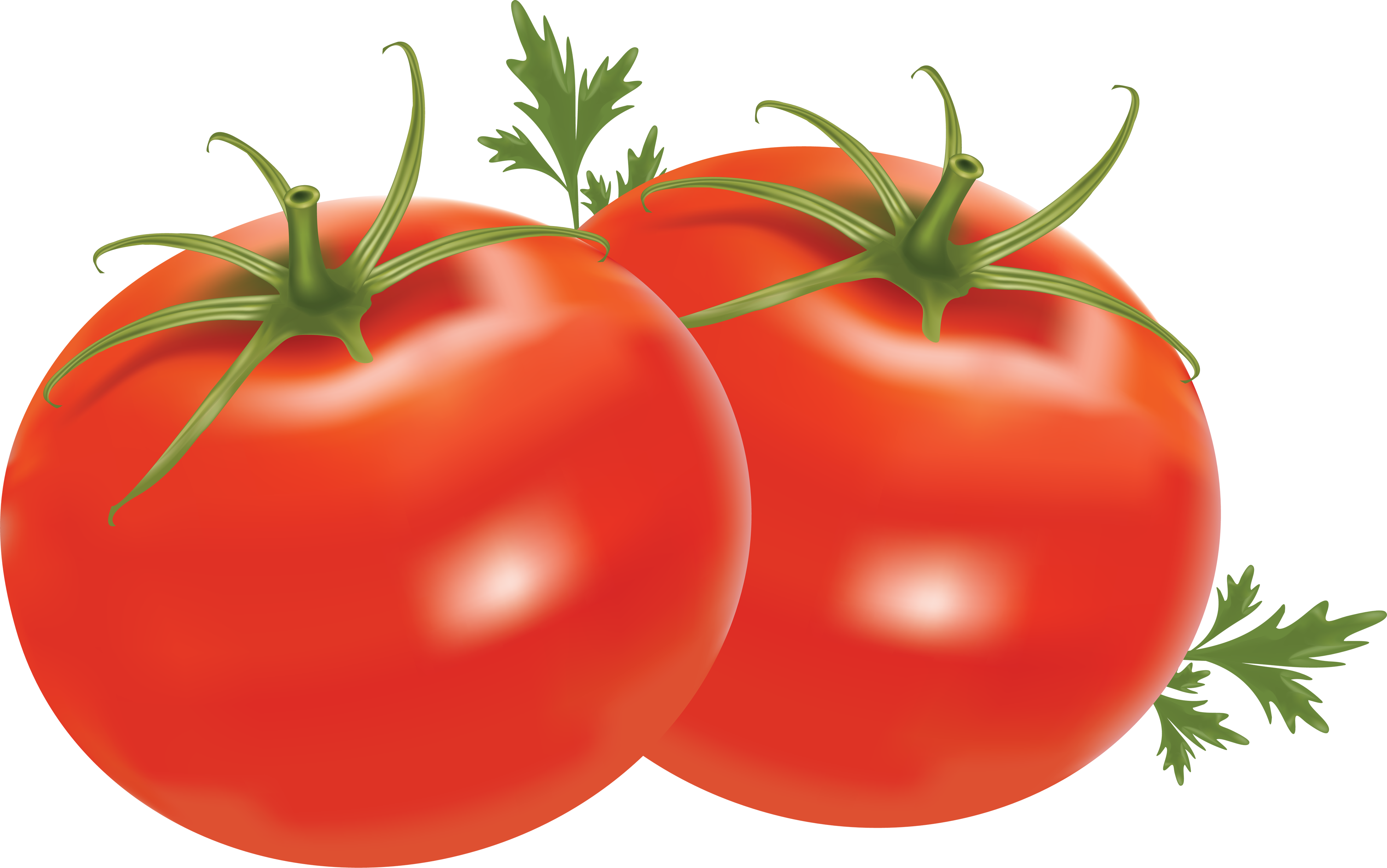Tomato Clipart No Background - Tomato Png (3923x2456)