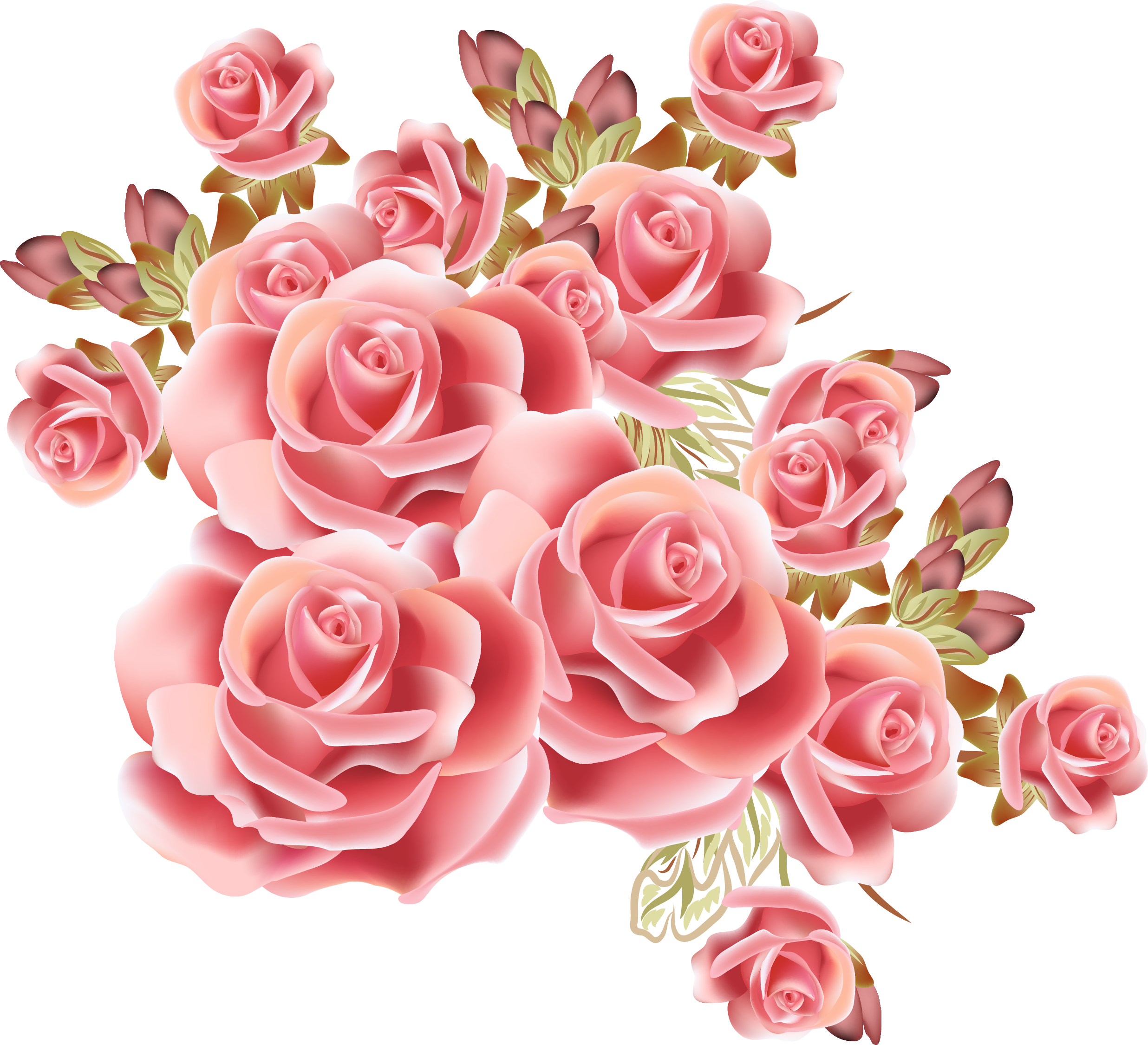 Rose Flower Drawing Stock Photography - Rose Background (2472x2251)