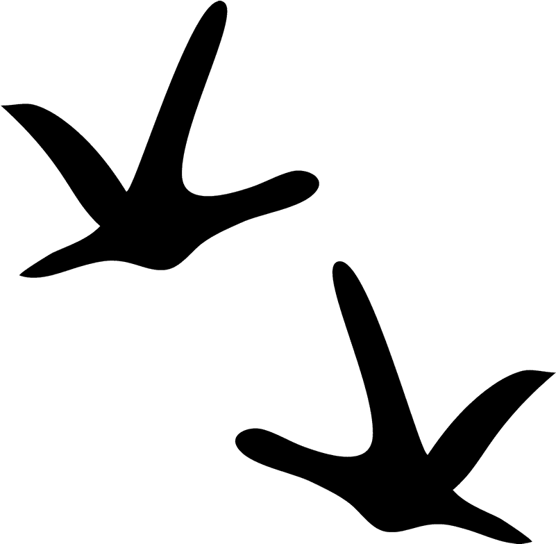 Turkey Tracks Clipart - Rubber Stamp (800x800)