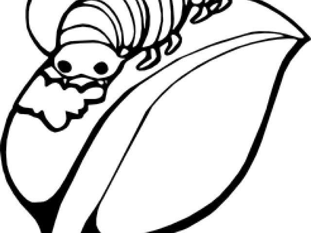 Silk Clipart Caterpilar - Caterpillar On A Leaf (640x480)