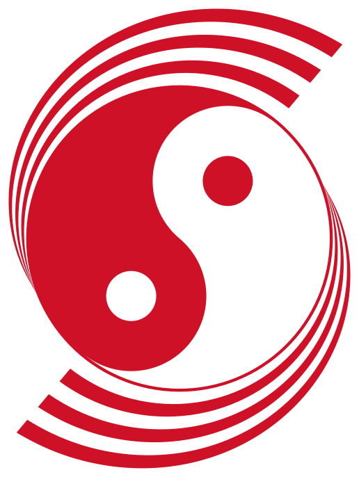 Main Marking Fin Flash - Singapore Air Force Roundel (516x686)