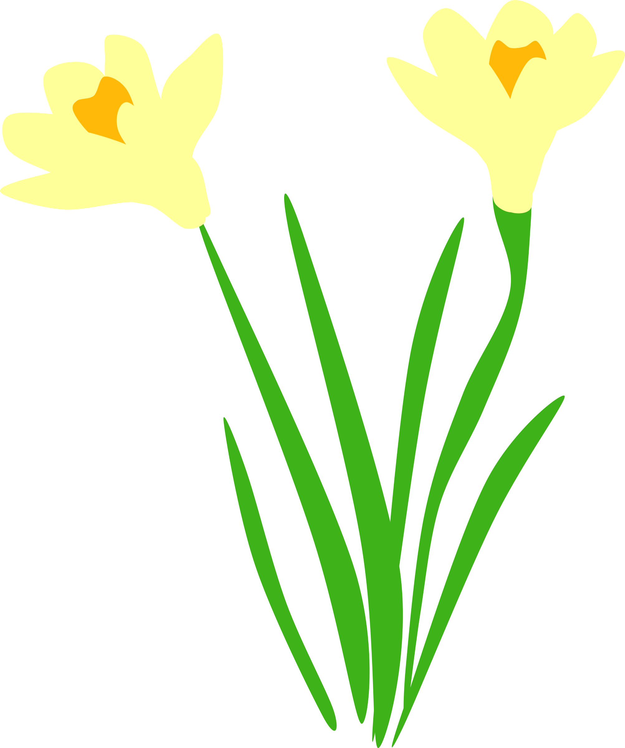 Big Image - Daffodil Vector (2006x2400)