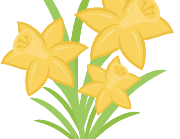 Daffodils Clipart Svg - Daffodils Clipart Svg (640x480)