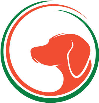 No Matter The Diet, There Are Natural Ways To Supplement - Globe Icon (368x391)