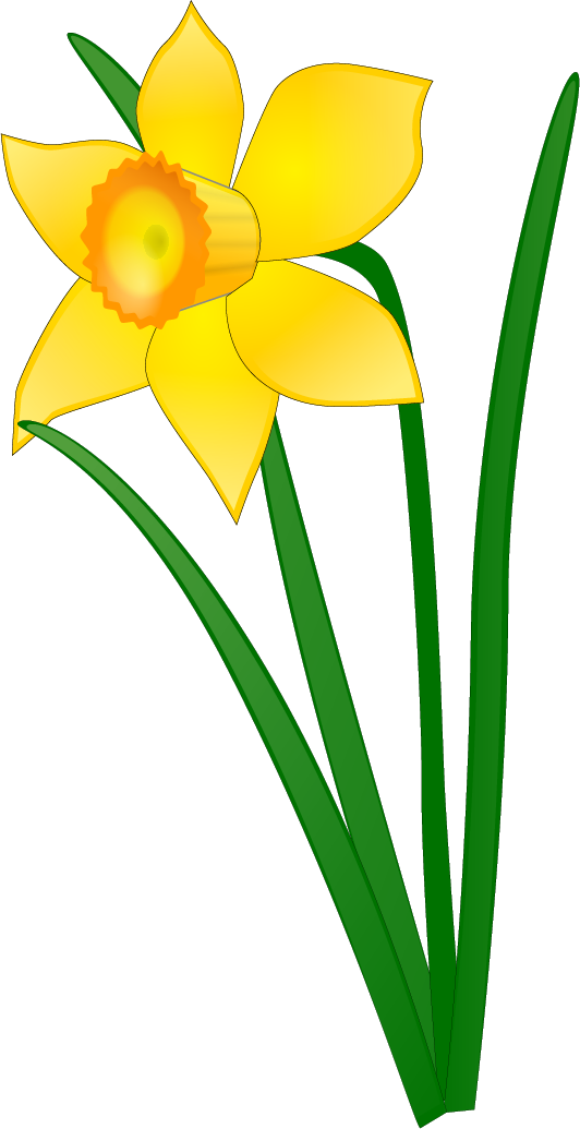 How To Play - Daffodi (532x1035)