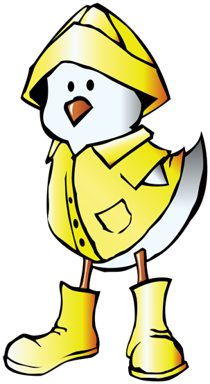 Chicken And Raincoat - Baby Chick In Raincoat Shower Curtain (605x605)