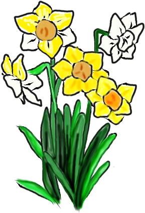 Narcissus (420x595)