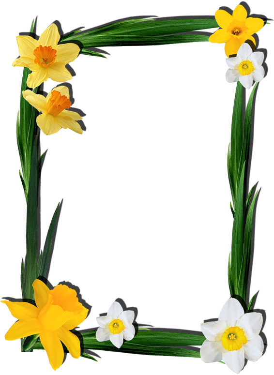 Publicat De Eu Ciresica La - Frame Spring Flower Png (565x800)