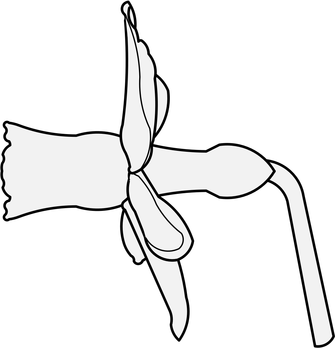 Daffodil Bell To Dexter - Line Art (1106x1147)