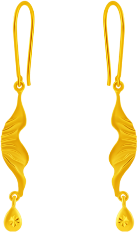 14kt Yellow Gold Earring - Earrings (800x800)
