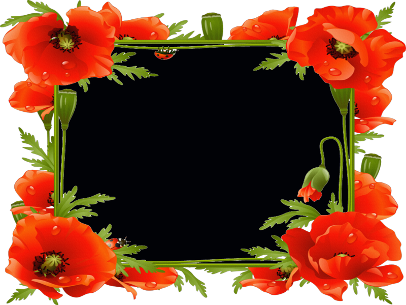 Plantillas Para Adornar Marcos Para Photoscape, Photoshop - Orange Flowers Photo Frame Transparent (800x600)