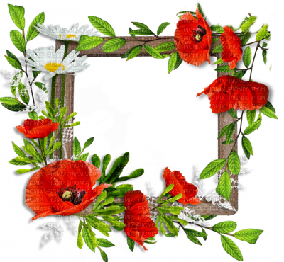 Cadre Coquelicot Deco Frame Poppy Flowers - Dal Egy Szép Leányról Kassák Lajos (400x370)