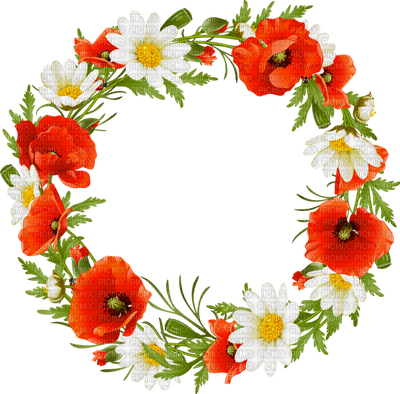 Cadre Coquelicot Deco Frame Poppy Flowers - Wreath Of Flowers Clipart (400x394)