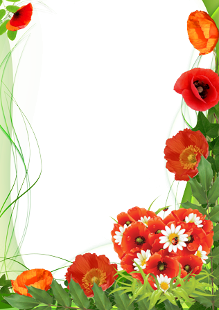 Poppies Color Of Love - Mother's Day Png Frames (316x448)