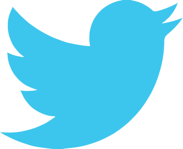 By Andrea Honaker - Twitter Logo Transparent Gif (640x520)