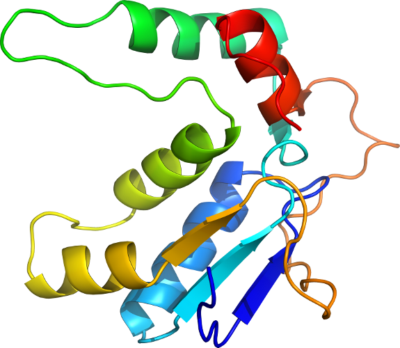 Line Point Body Jewellery Clip Art - Line Point Body Jewellery Clip Art (575x500)