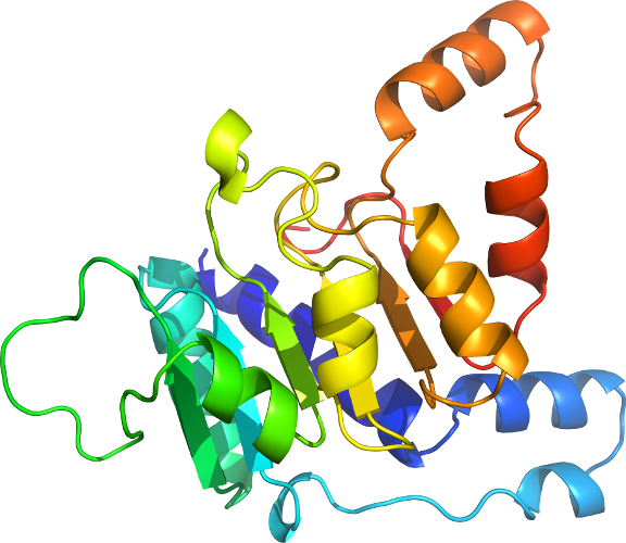 Body Jewellery Organism Line Clip Art - Body Jewellery Organism Line Clip Art (576x500)