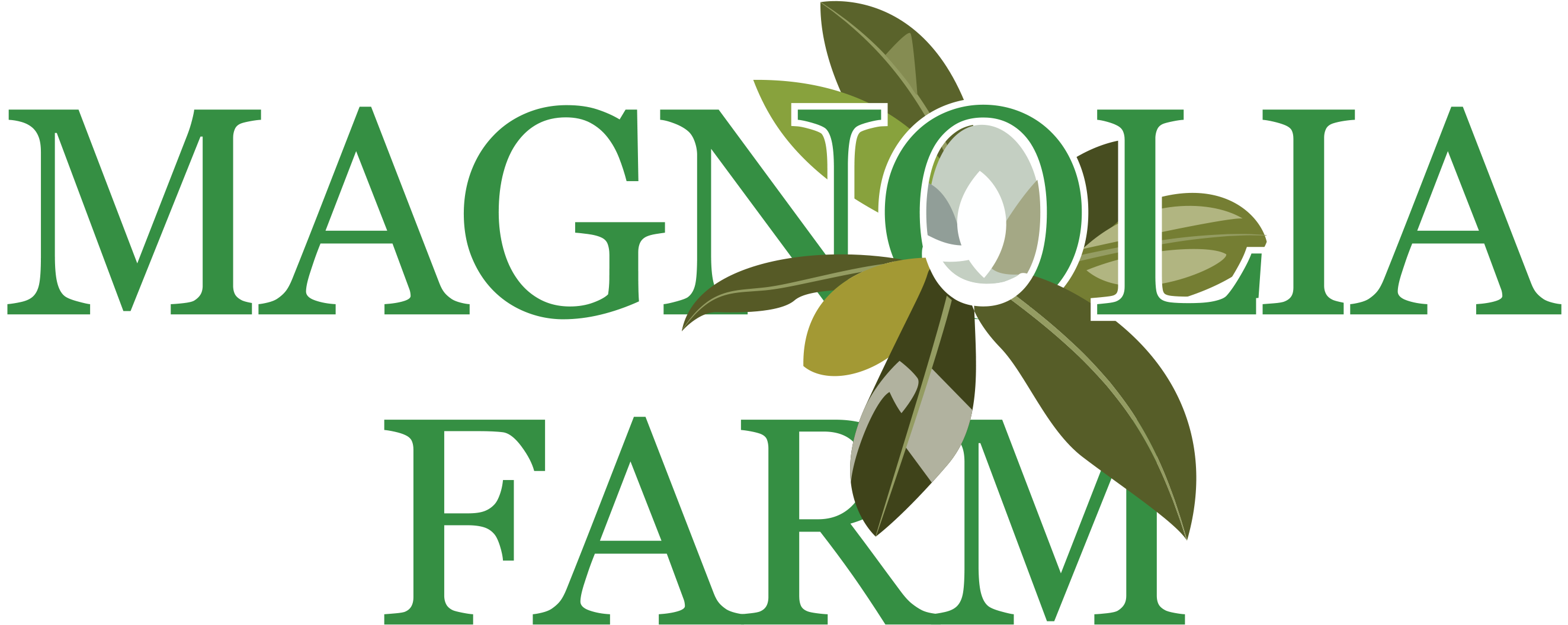 Spring Break - Mount St. Mary's University (2999x1468)