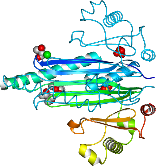 Line Graphic Design Point Clip Art - Illustration (768x768)