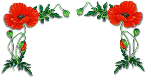 Коллекция Уголков - Flanders Fields (500x266)