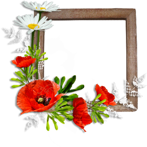 Picture Frames Flower Common Poppy Floral Design - Picture Frames Flower Common Poppy Floral Design (660x554)