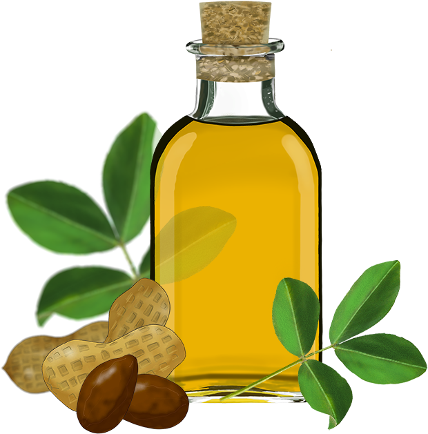 Olive Oil Transparent Background (640x640)