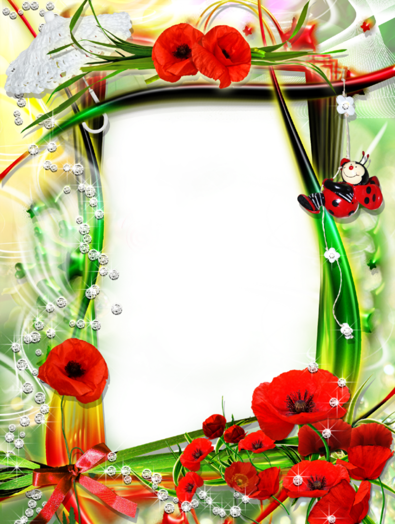 Stylish Picture Frame With Charming Poppy Flowers - Picture Frame (800x1063)