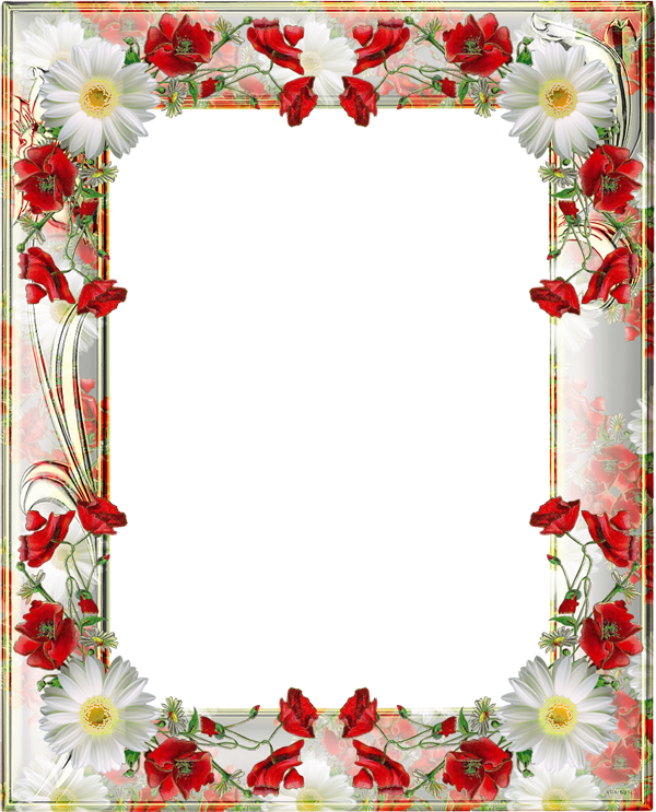 Transparent Png Photo Frame With Yellow Poppies - Poppies Frame (600x743)