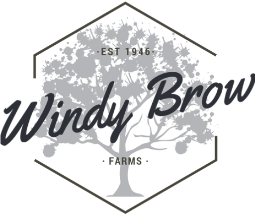 About Us - Arturo Takes A Bow (512x512)